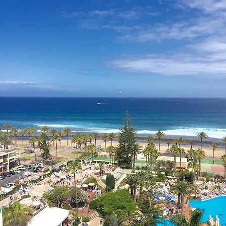 Apartment Las Palmeras Playa de las Americas (Tenerife)